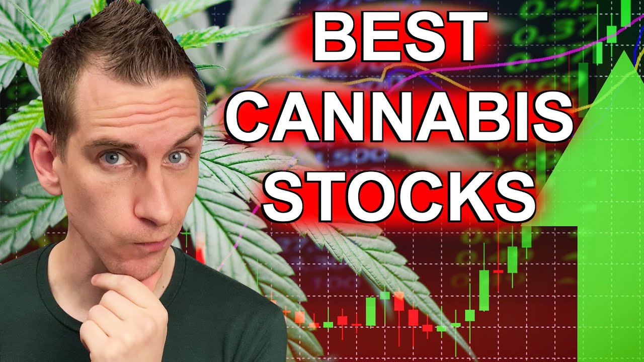 The Best Cannabis Stocks To Buy 2020 | PLTH, GRWG, SMG, MO, STZ, ACB, WEED, CRON